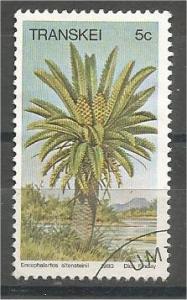 TRANSKEI, 1980, CTO 5c, Cycads. Scott 75