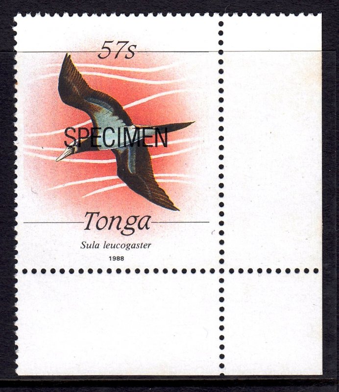 Tonga 1988-89 Sula leucogaster Bird 57s 'SPECIMEN' Mint MNH SG 1012...