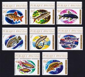 Rwanda Fishes 8v with Top margins and inscript SG#553/60 SC#541-549