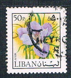 Lebanon C663 Used Iris (BP1922)