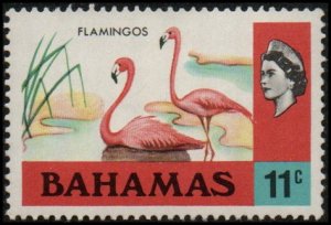 Bahamas 322 - Mint-NH - 11c Flamingos (1971) (cv $3.25)