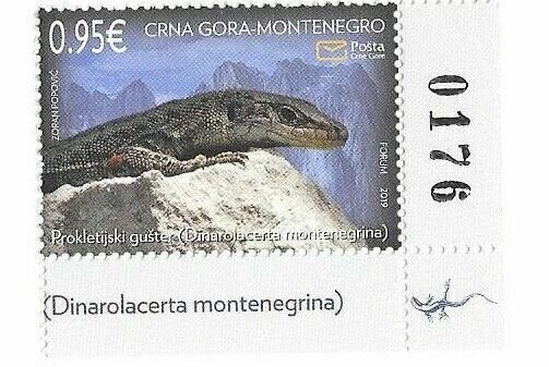 MONTENEGRO/2019 - Fauna (Prok. Rock Lizard) (Reptile) (Numbered Corner), MNH 