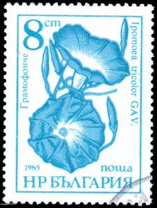 Bulgaria 3184 - Cto - 8s Morning Glory (1986)