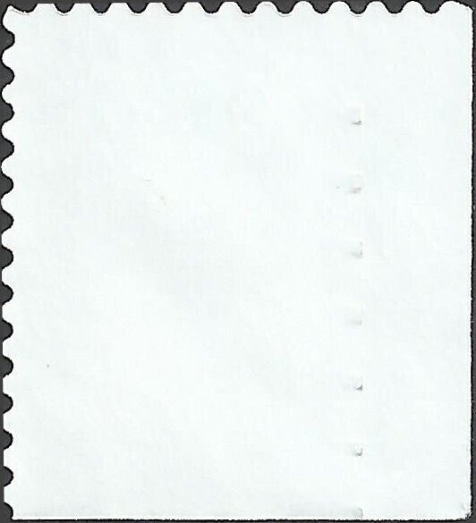 # 3296a USED STRAWBERRIES