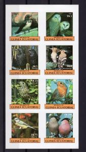 Equatorial Guinea 1977 BIRDS/OWL Sheetlet (8) Imperforated  MNH VF
