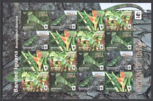 A1163 2016 Tonga Wwf Fauna Reptiles Banded Iguana 1Sh Mnh