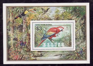 Belize-Sc#740- id9-unused NH sheet-Birds-Parrots-1984-