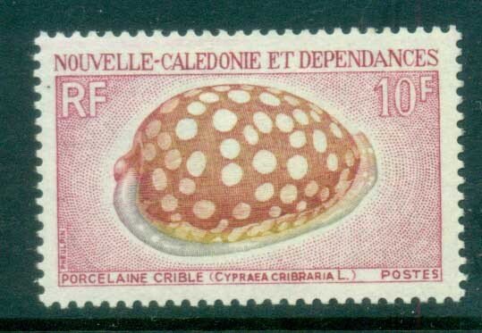 New Caledonia 1970 Shells, Cowrie 10fr MLH