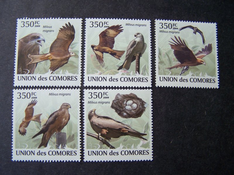 Comores Comoro 2009 MNH Birds Falcon