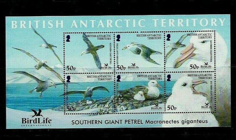 British Antarctic Territory: 2005, Birdlife International, Giant Petrel MNH M/S