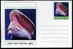 Chartonia (Fantasy) Shells - Queen Conch (Strombus gigas)...