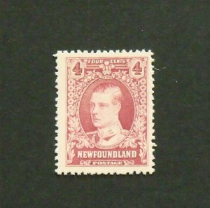 16781   NEWFOUNDLAND   MNH # 166