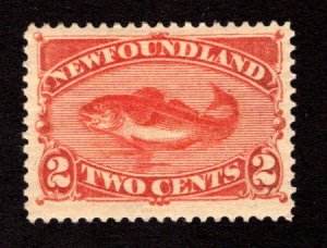 NEWFOUNDLAND  SC# 48  FVF/MOG