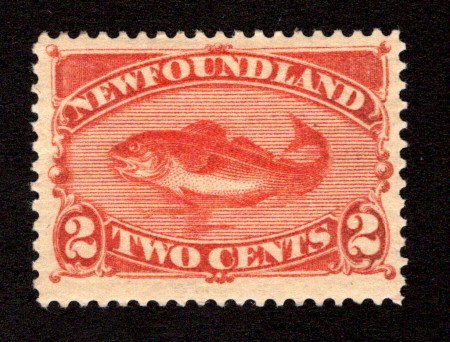 NEWFOUNDLAND  SC# 48  FVF/MOG