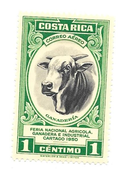 Costa Rica 1950 - M - Scott #C197 *