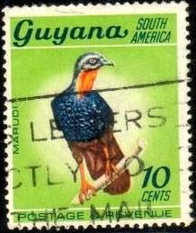 Bird, Marail Guan, Guyana stamp SC#44 used