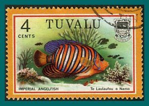 Tuvalu 1979 Fish, 4c used #98,SG107