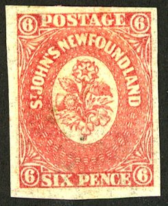 Newfoundland #20 MINT OG HR