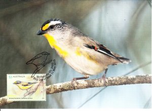 Australia 2013 Maxicard Sc #3925 $3 Striated pardalote 