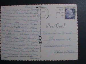 ​UNITED STATES-LOVELY HAWAIIAN ORCHIDS- PICTURE POST CARD WITH STAMP-USED-VF