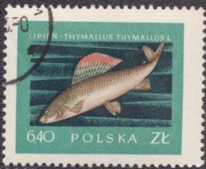 Poland 814 1958 Used