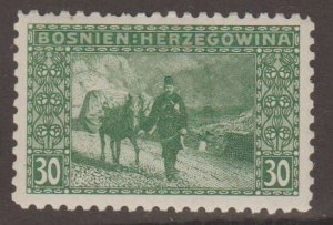 Bosnia & Herzegovina Scott #38a Stamp - Mint NH Single