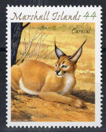 ZAYIX Marshall Islands 955b MNH Wild Cats Caracal Endangered Animals 101623S05M