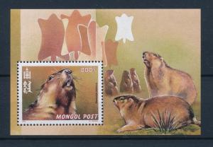 [39964] Mongolia 2000 Wild Animals Mammals Marmots MNH Sheet