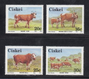 Ciskei Scott #106-109 MNH