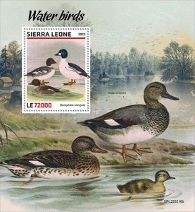 Sierra Leone - 2022 Water Birds, Goldeneye - Stamp Souvenir Sheet - SRL220216b