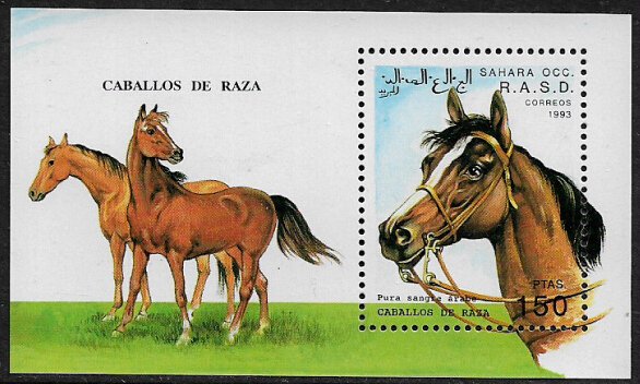 Sahara O.C.C. #1 MNH S/Sheet - Horses