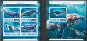 Sierra Leone 2017 Marine Life Whales sheet + S/S MNH