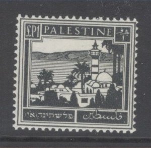Palestine, Scott 84 MH