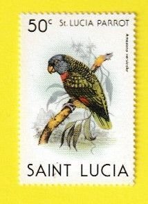 St. LUCIA SCOTT#539 1981 50c St. LUCIA PARROT - MNH