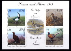 Ireland 1989 Bird Games Mint MNH Miniature Sheet SC 758a