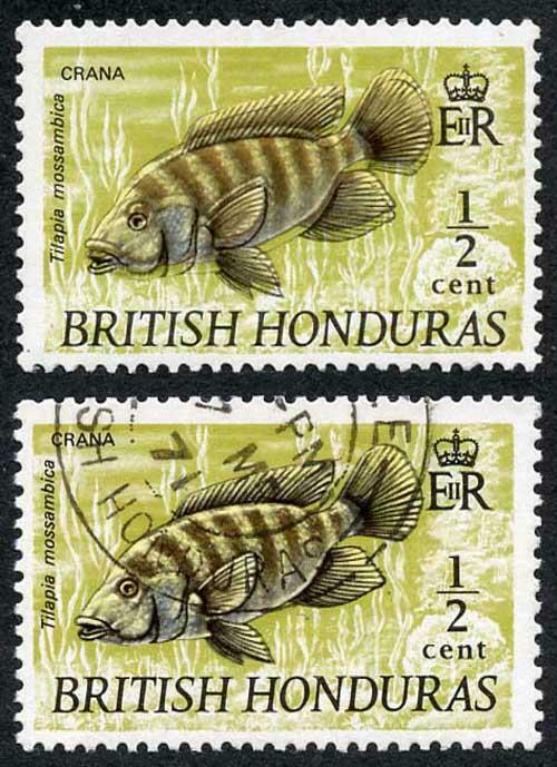 British Honduras SG277a 1969 1/2c Mozambique Mouthbrooder BLACK FANTASTIC SHIFT