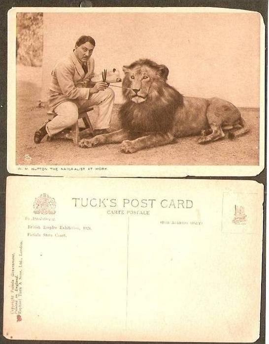 India Patiala State 1924 W.M.Hutton The Naturalist at Work Painting Lion View...