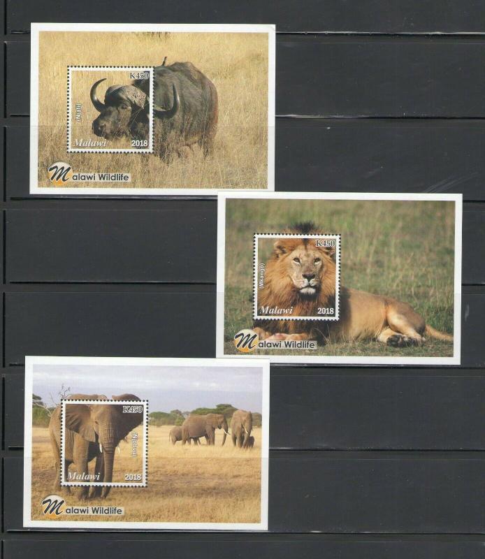 MALAWI: ++NEW ISSUE++ /**Beautiful WILDLIFE**/ Sheet of 6 & 6 SS / MNH3 Images.