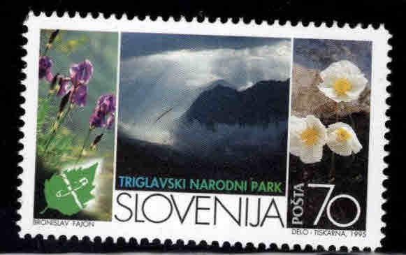 Slovenia  Scott 231 MNH** 1995 stamp