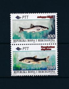 [47352] Bosnia Herzegovina 1995 Marine life Fish from set MNH