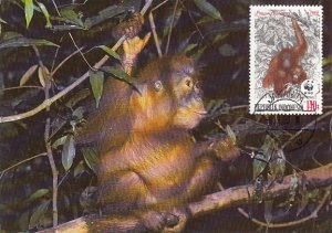 Indonesia 1989 Maxicard Sc #1382 140r Orangutans WWF