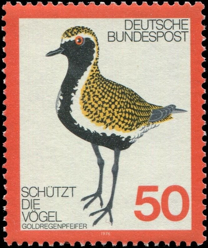 Germany 1976 Sc 1222 Bird Golden Plover