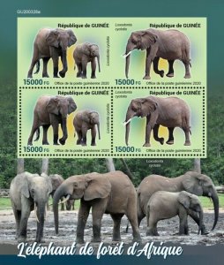 Guinea 2020 MNH Wild Animals Stamps Elephants Forest Elephant 4v M/S + IMPF