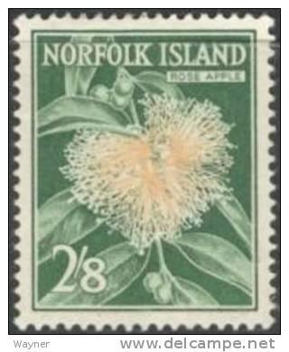  Norfolk Isl. 1962 Rose Apple Scott 39 mint light hinged. 