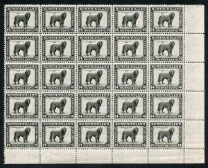 Newfoundland SG284 14c Black Block of 25 U/M