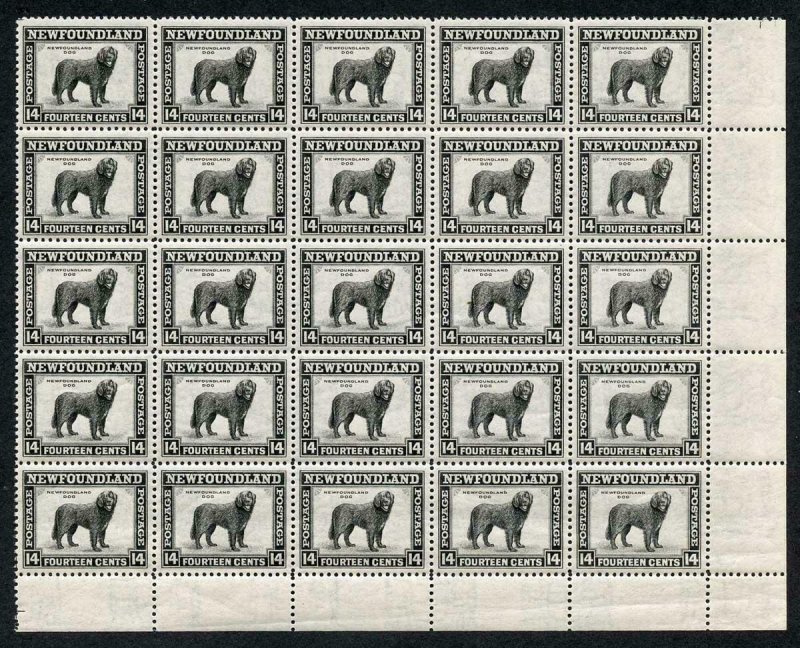 Newfoundland SG284 14c Black Block of 25 U/M