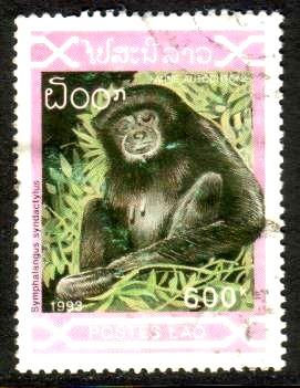 Siamang, Black-furred Gibbon, Laos stamp SC#1122 Used
