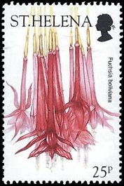 ST HELENA   #827 MNH (1)