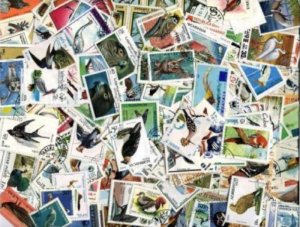 Birds on Stamps - Sensational Collection! 500 Different Stamps