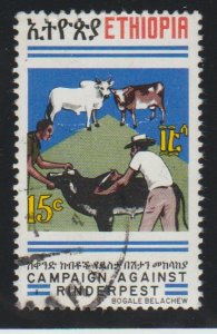 Ethiopia 696 Inoculation of cattle